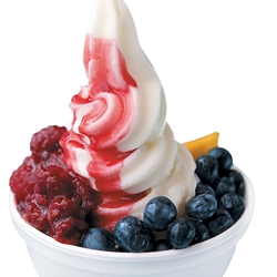 Soft Serve Fruit Toppings Wholesaler