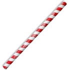 BioStraws Red Stripe Jumbo 10mm