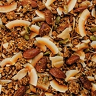 Protein Crunch Gluten Free Toasted Almond Granola